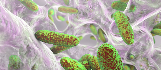 Biofilms, what are they? And what cleaning products work well to combat these nasties!