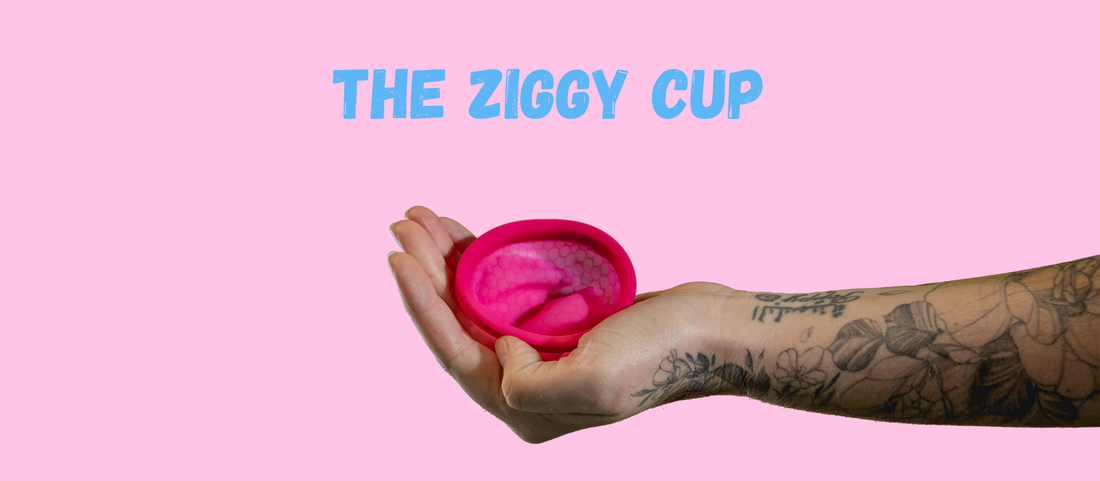 How to remove your Ziggy Cup and the Ziggy low down