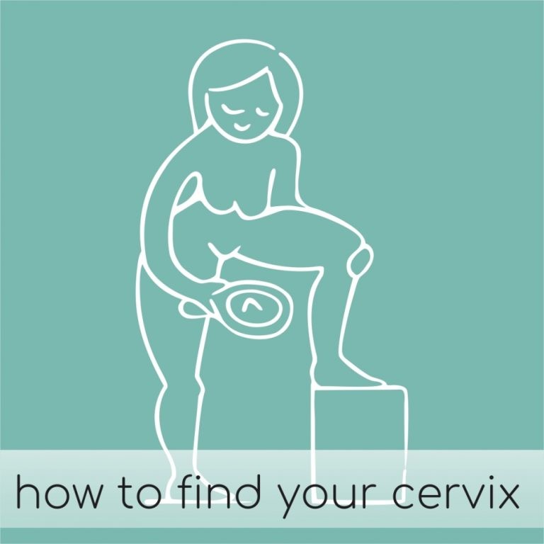 Find your cervix!