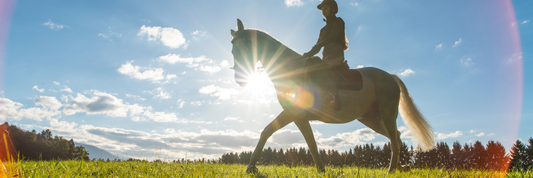 The Perfect Menstrual Cup For Horse Riding