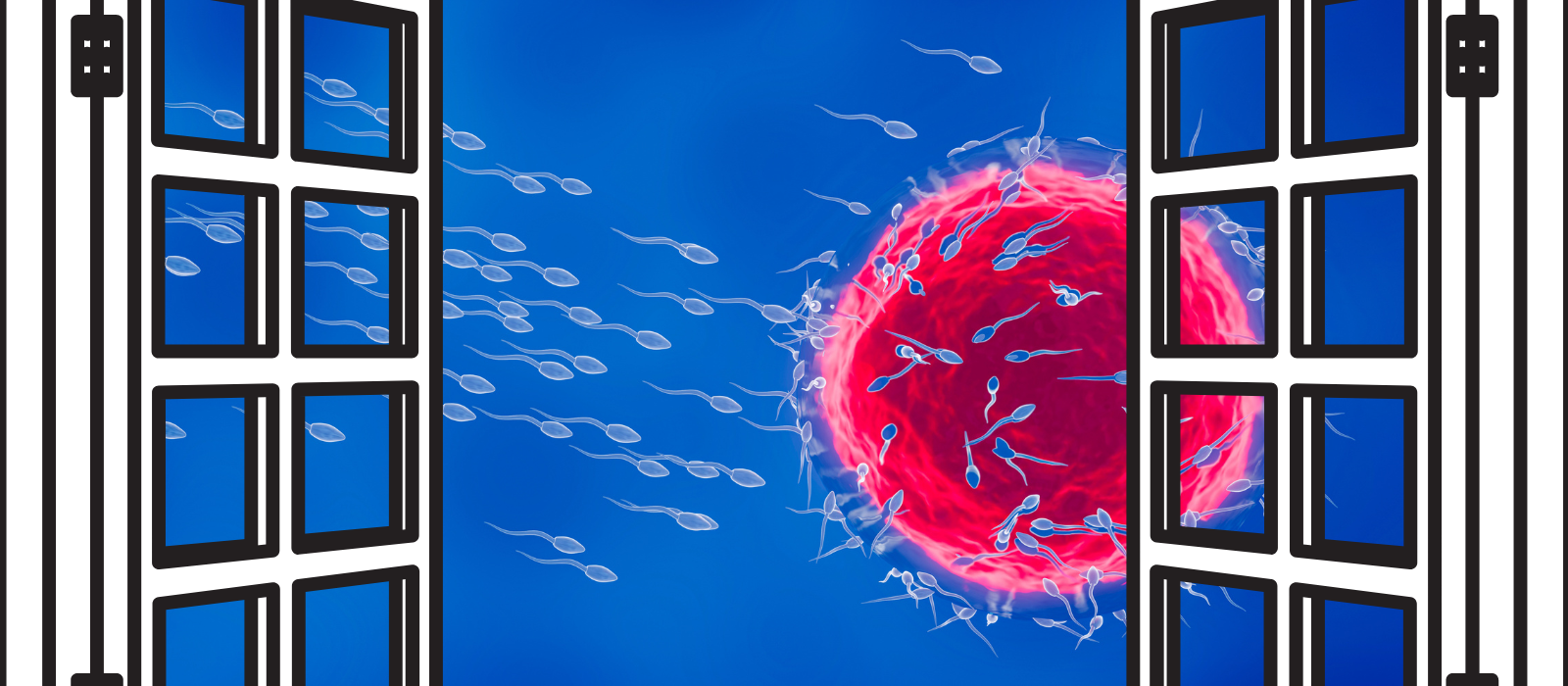 Decoding the Fertile Window: A Comprehensive Guide to Your Menstrual C ...