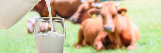 What Food Should Be Avoided During Your Period