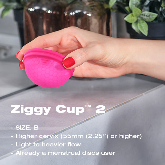 Ziggy Cup™ B